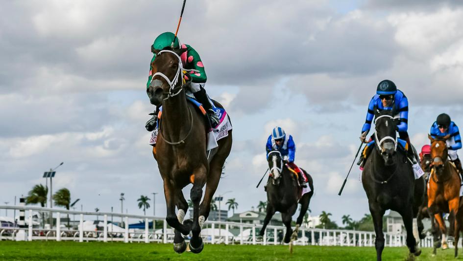 Winning Trends at Gulfstream Park for the 2025-’26 Championship Meet